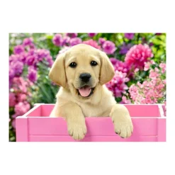 Puzzle 2 x 24 pièces : amis tout doux - Ravensburger