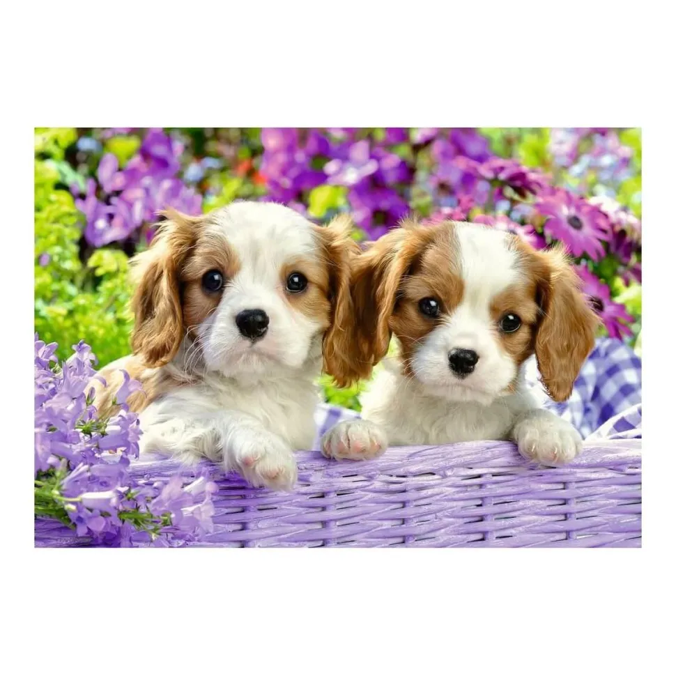 Puzzle 2 x 24 pièces : amis tout doux - Ravensburger