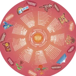 Puzzle circulaire lumineux 36 pièces : centre de la Terre - Hape