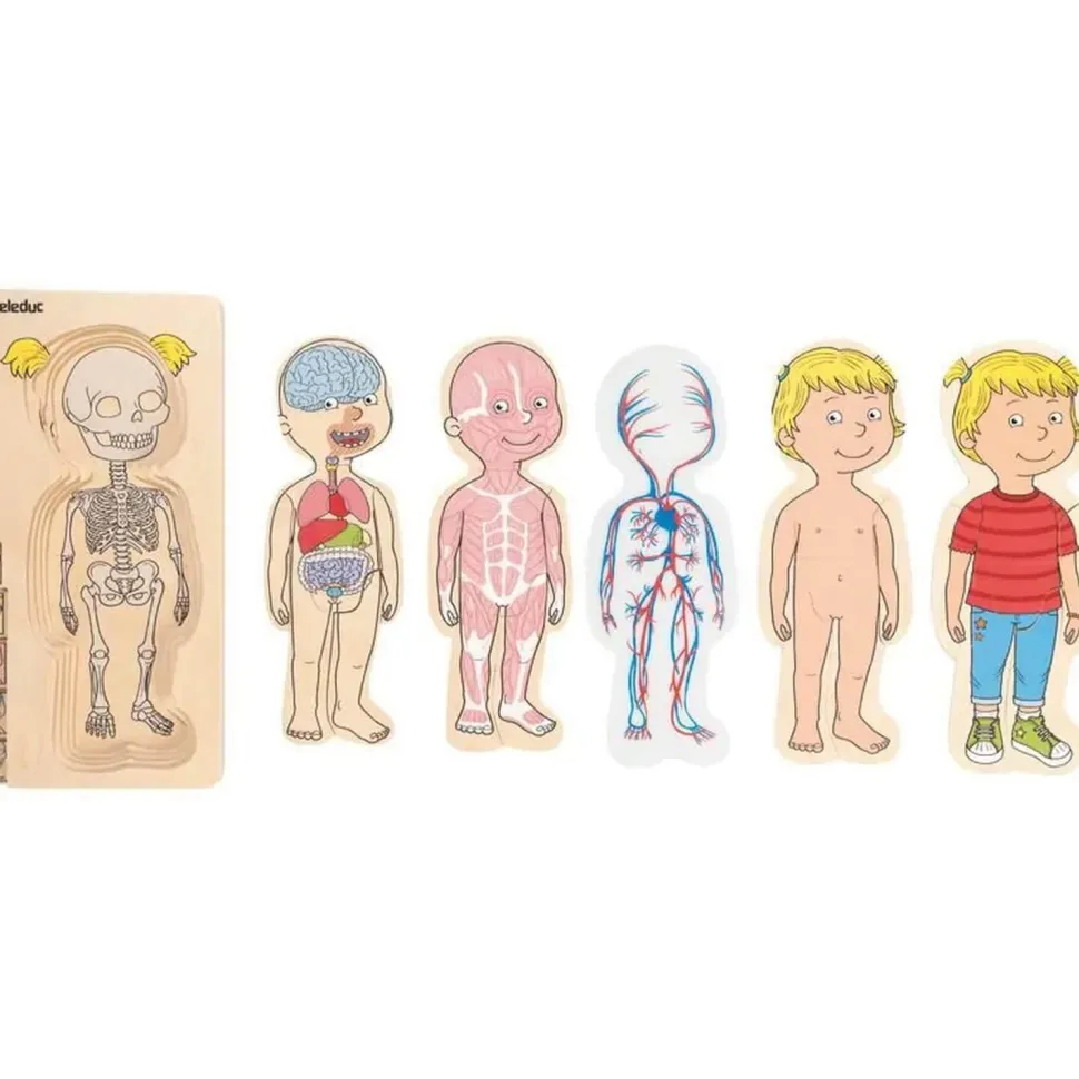 Puzzle du corps humain "Fille" - Hape