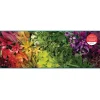 Puzzle panoramique 1000 pièces : La vie végétale - Galison