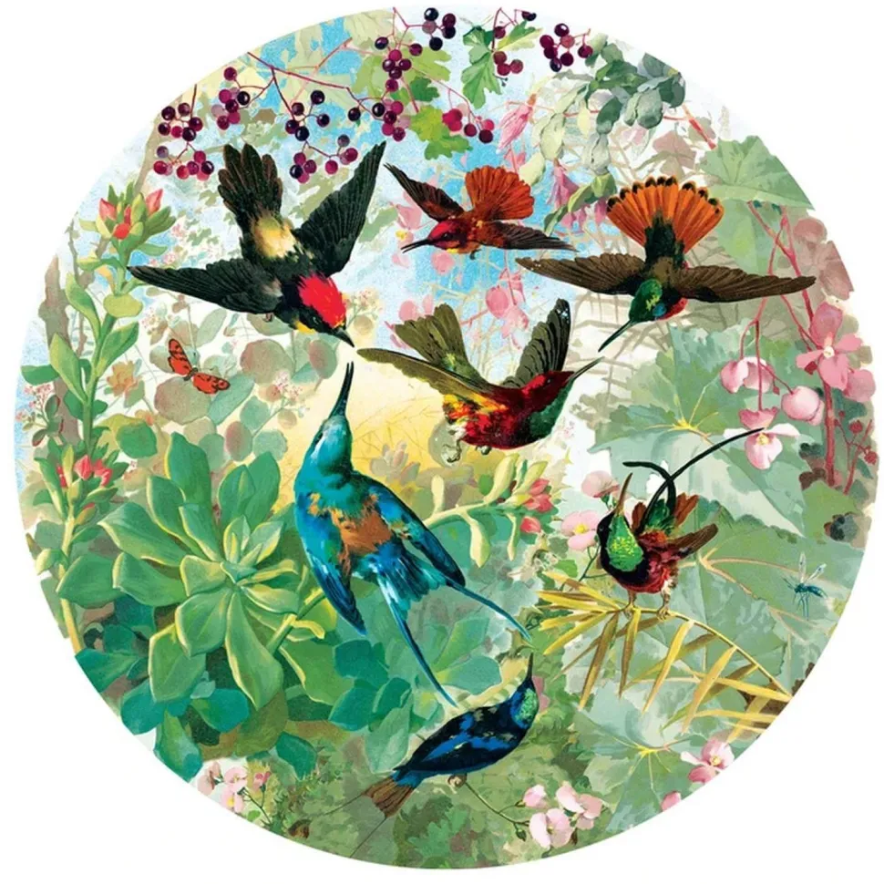 Puzzle rond 500 pièces : Colibris - Eeboo