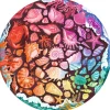 Puzzle rond 500 pièces : Coquillages (Circle of Colors) - Ravensburger