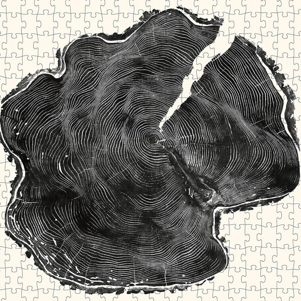 Puzzles 3 x 300 pièces : Gravures de bois - Galison