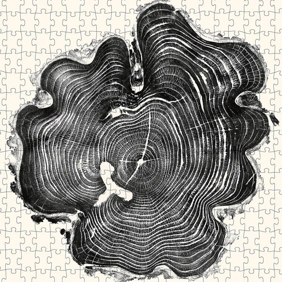 Puzzles 3 x 300 pièces : Gravures de bois - Galison