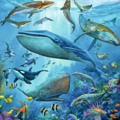 Puzzles 3 x 49 pièces : Le monde animal de l'océan - Ravensburger