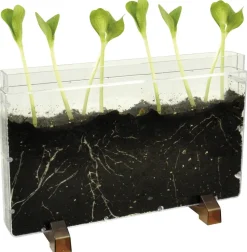 Racine/ferme pour vers - Eduplay