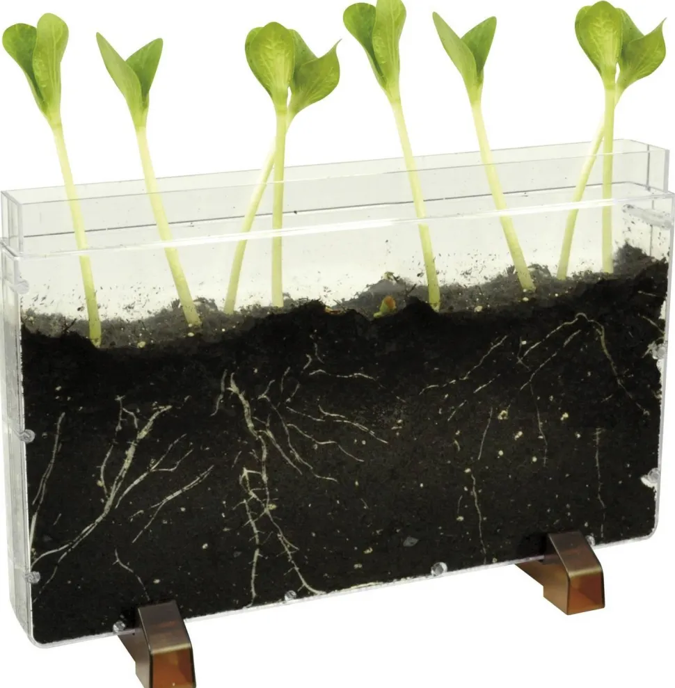 Racine/ferme pour vers - Eduplay