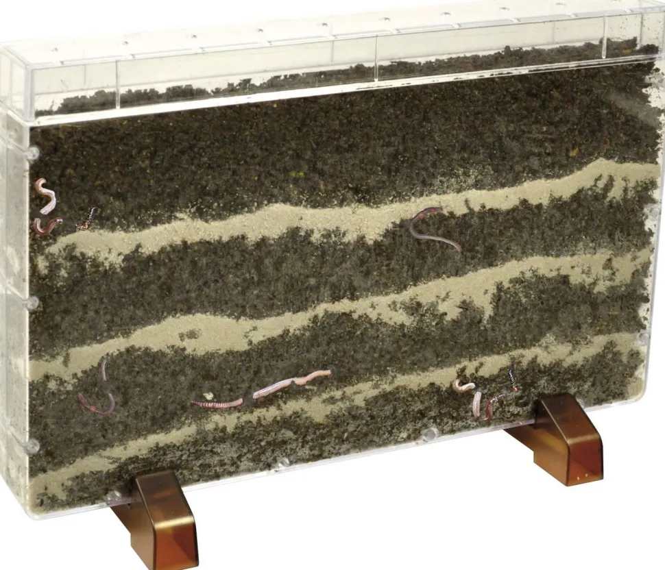 Racine/ferme pour vers - Eduplay