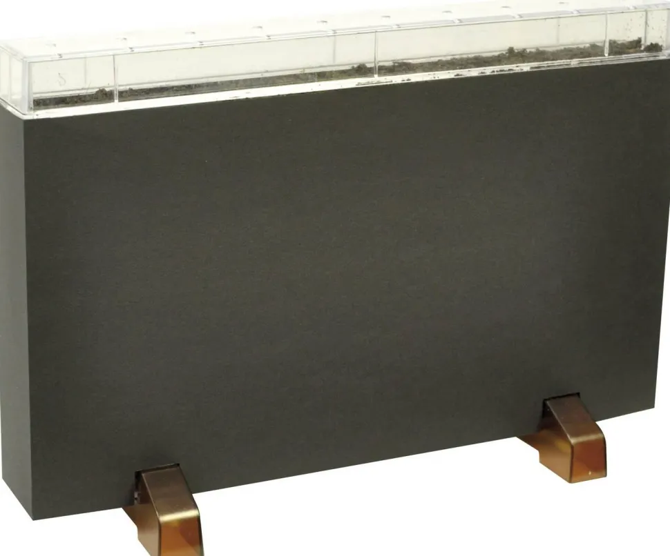 Racine/ferme pour vers - Eduplay