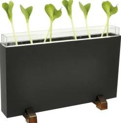 Racine/ferme pour vers - Eduplay