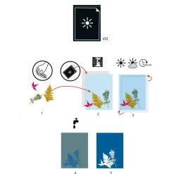 Recharge pour coffret Cyanotype : Papier pour Cyanotype - Djeco