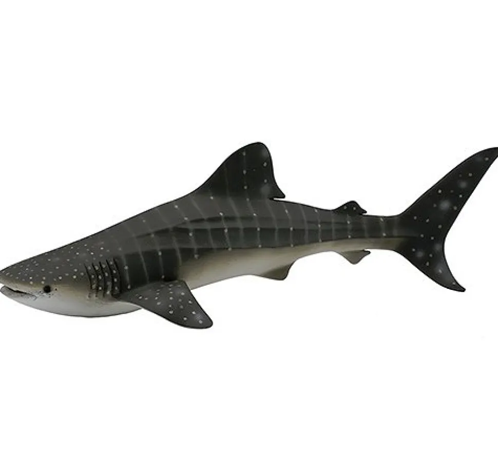 Requin-Baleine - Figurines Collecta