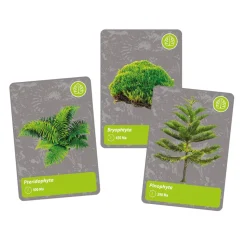 Science et jeu : L'histoire de la vie sur Terre - Réalité Virtuelle - Clementoni