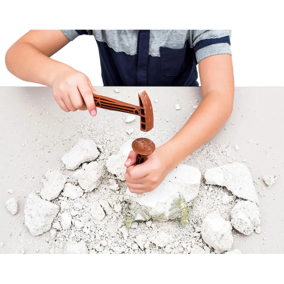 Science et jeu : Archéo-ludic : T-Rex et Tricératops phosphorescents - Clementoni