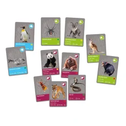 Science et jeu : Grand coffret découverte des animaux avec réalité virtuelle - Clementoni