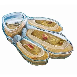 Science et jeu : Laboratoire : Triops, les animaux préhistoriques - Clementoni