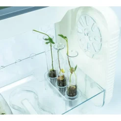 Science et jeu : Ma serre botanique High Tech - Clementoni