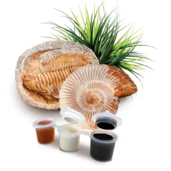 Science et jeu : Triops et le monde des dinosaures - Clementoni