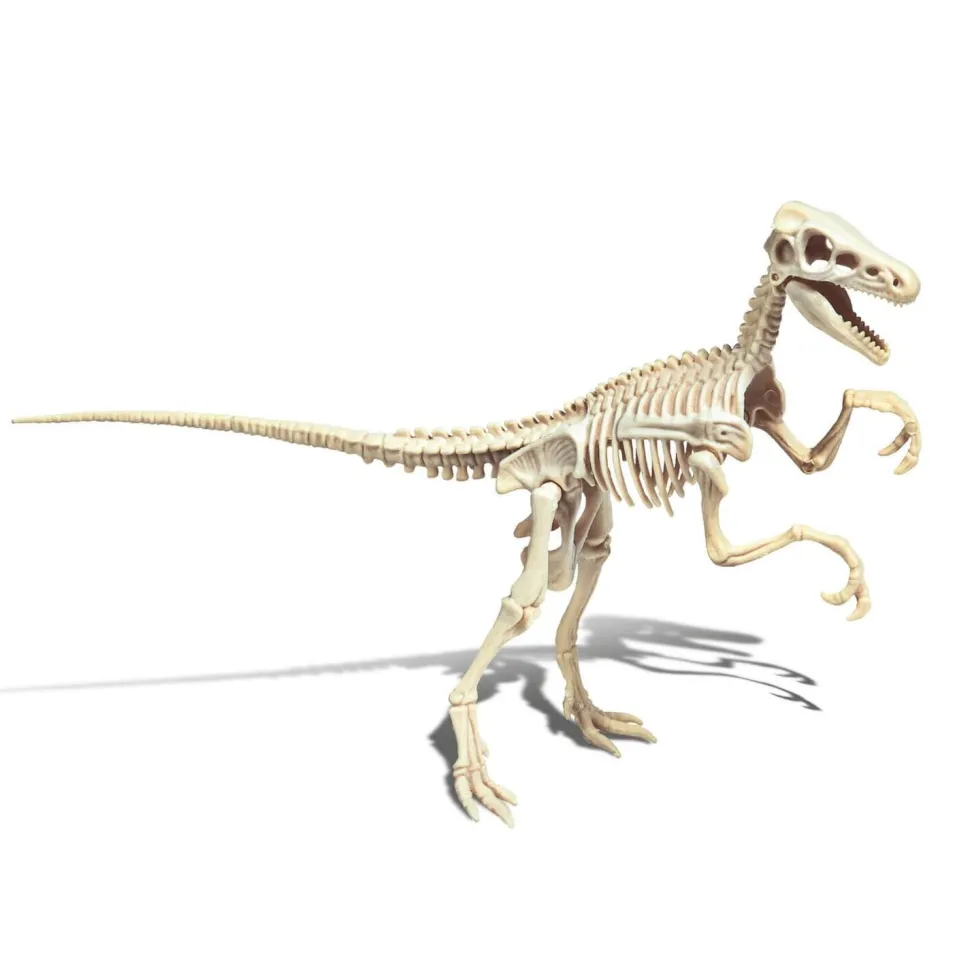 Science et jeu : Vélociraptor - Clementoni