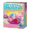Science in action: CRYSTAL GROWING - LICORNE - 4M