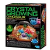 Science in action: CRYSTAL GROWING - DINO - 4M