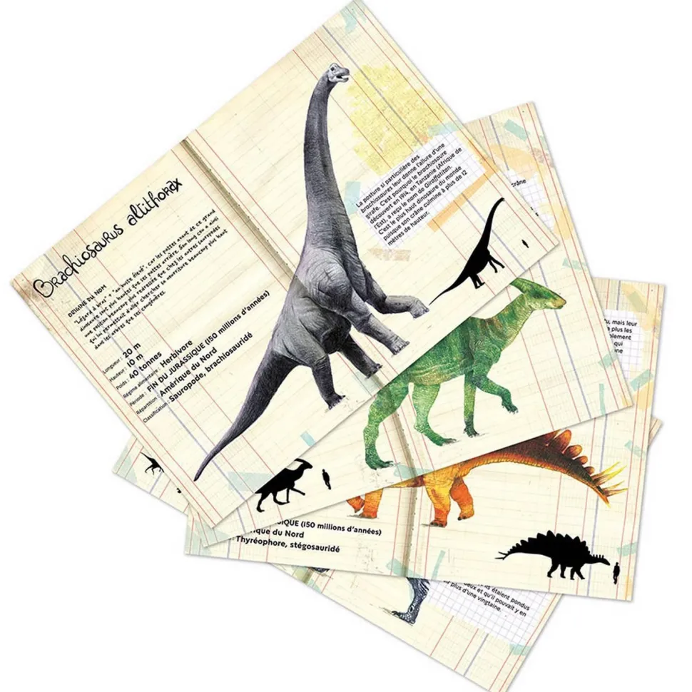 Set de 21 magnets dinosaures - Muséum national d'Histoire naturelle - Vilac