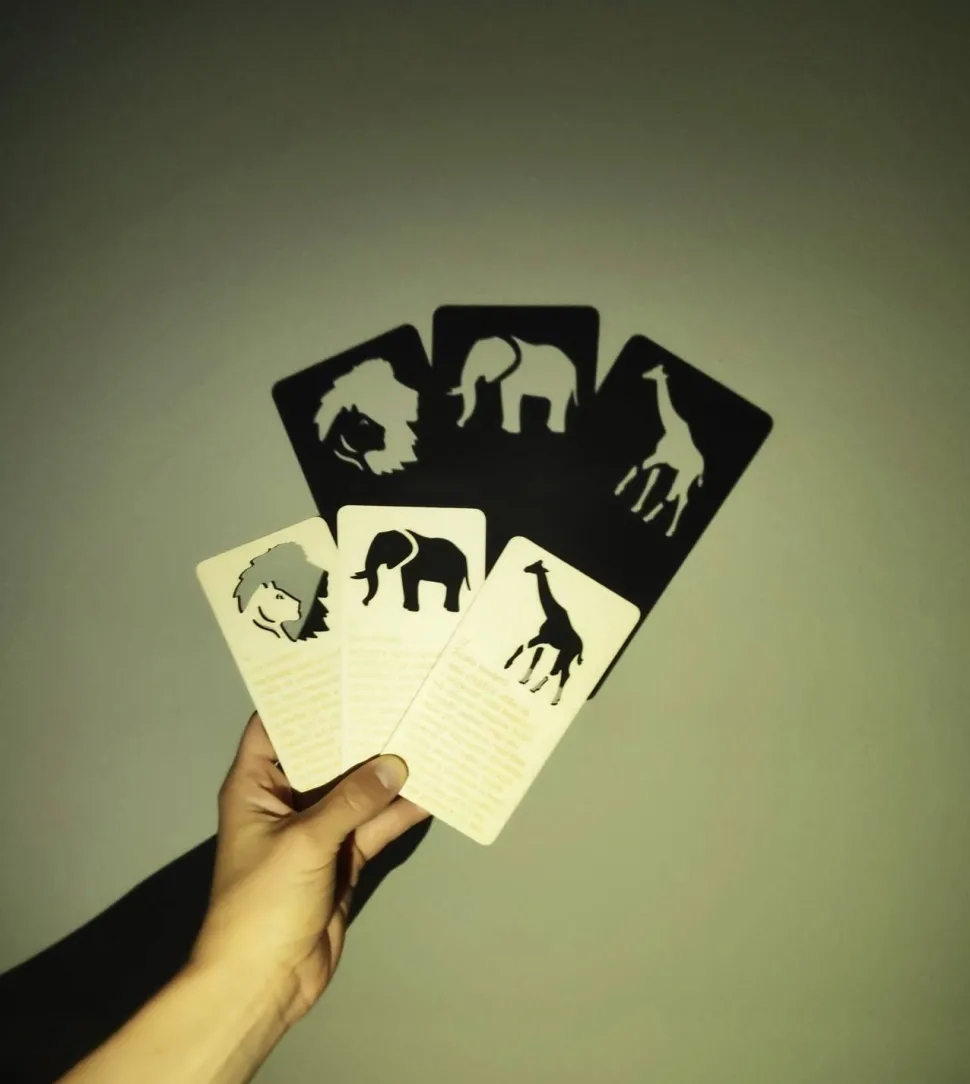 Set d'ombres chinoisesde la savane africaine - Eduplay