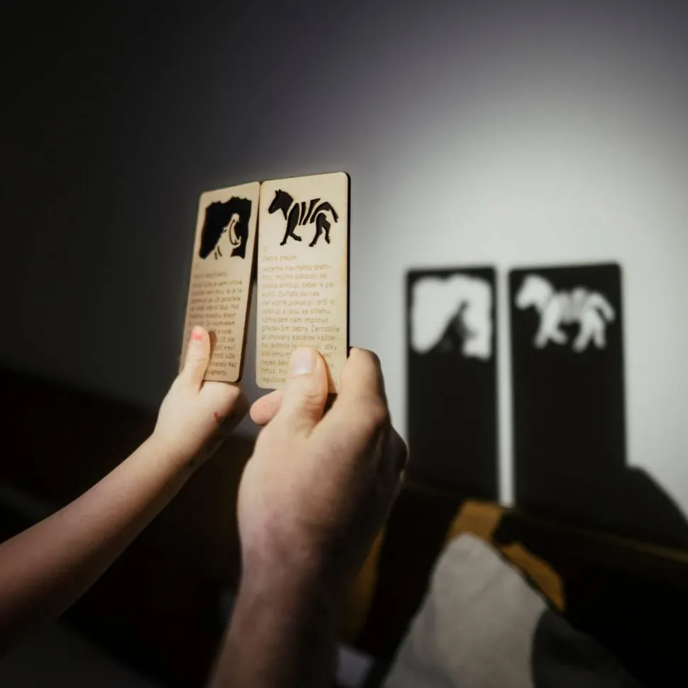 Set d'ombres chinoisesde la savane africaine - Eduplay