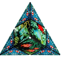 Shashibo Océan - Blackrock