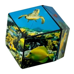 Shashibo Océan - Blackrock