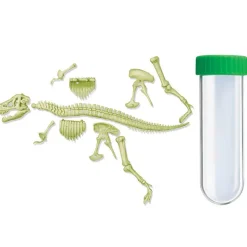 Squelette De T-Rex Lumineux - Dam