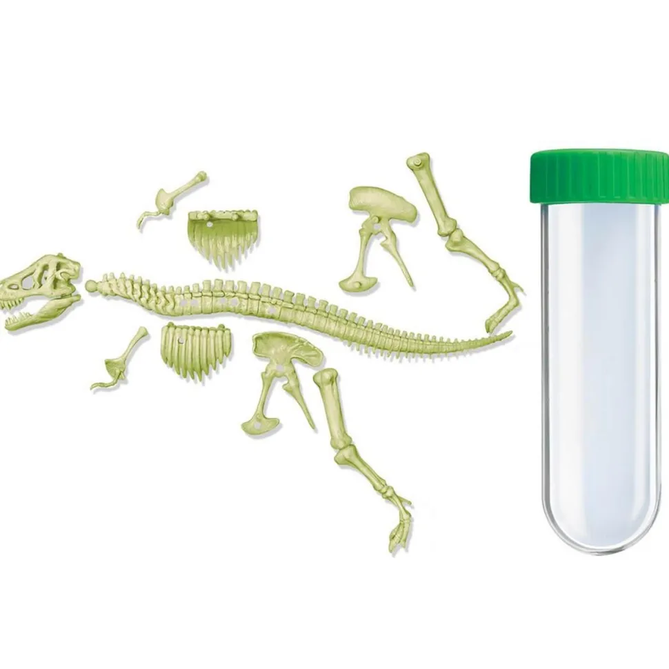 Squelette De T-Rex Lumineux - Dam