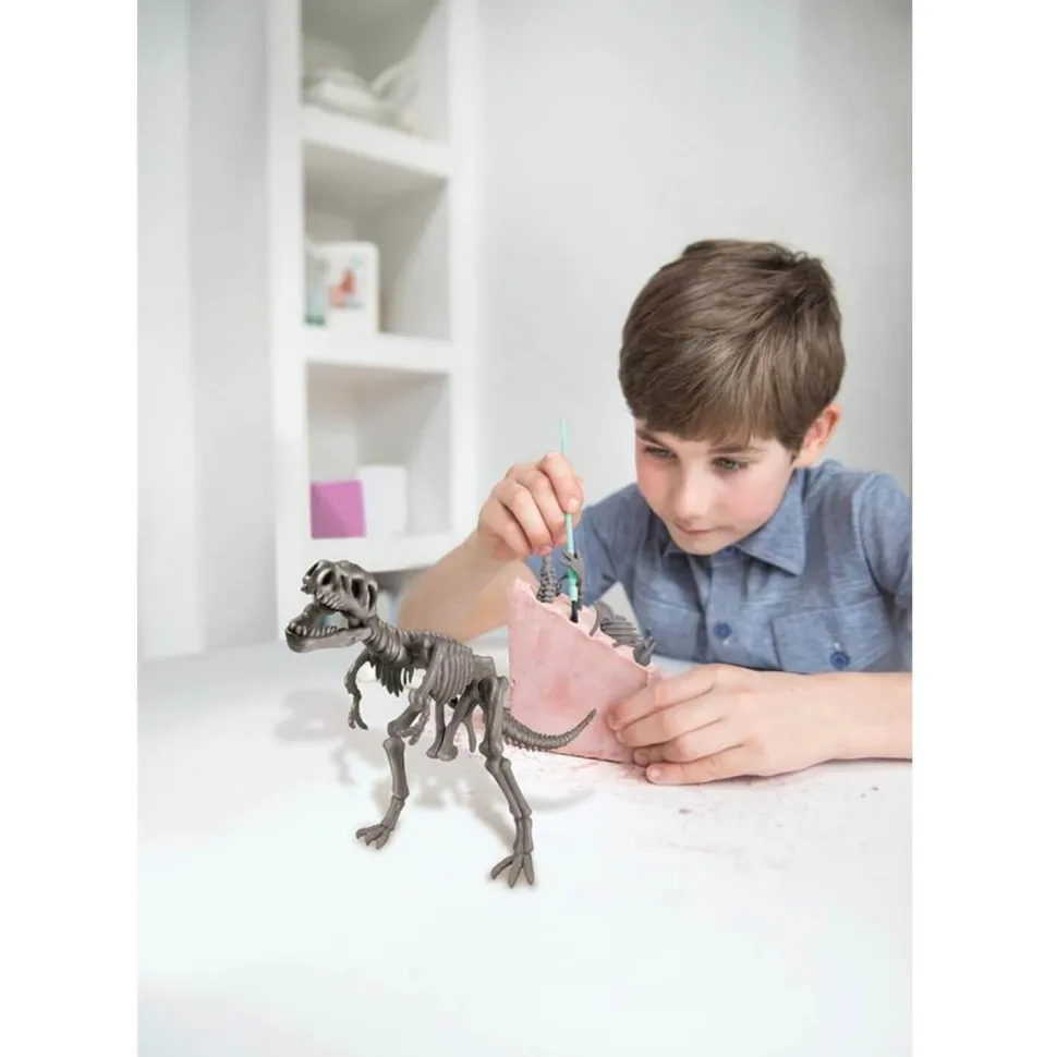 STEAM - Le Monde Des Dinosaures - Dam