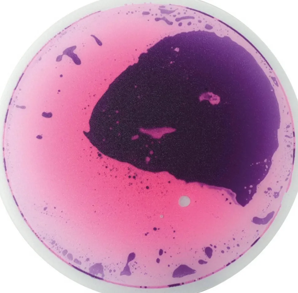 Support de fascination rond, set de 5 - Eduplay