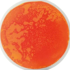 Support de fascination rond, set de 5 - Eduplay