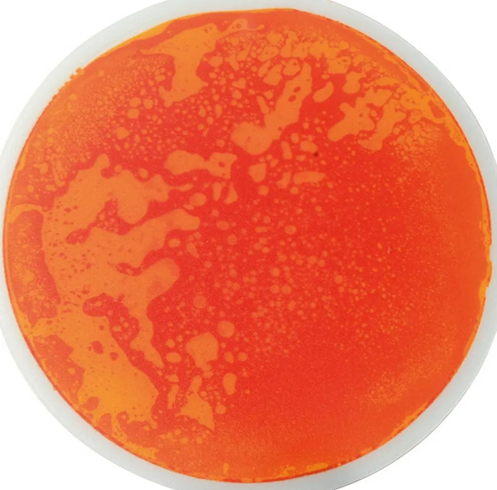 Support de fascination rond, set de 5 - Eduplay