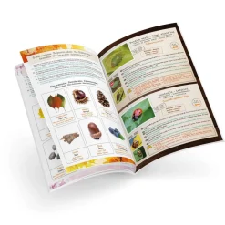 Terrarium - Buki France