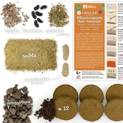 Terrarium : Observation des racines et vers de terre - Radis et Capucine