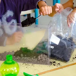 Terrarium : Observation des racines et vers de terre - Radis et Capucine