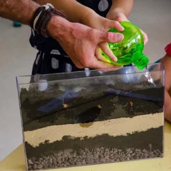 Terrarium : Observation des racines et vers de terre - Radis et Capucine