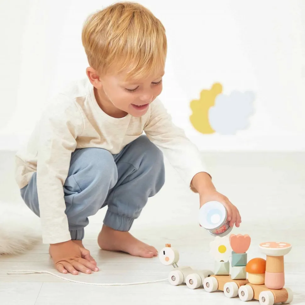 Train à Tirer - Sweet Cocoon - Janod