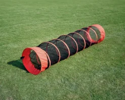 Tunnel rampant Lapin peureux - Eduplay