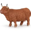 Vache Highland - Papo
