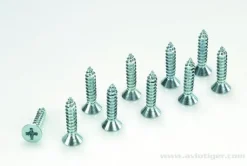 Vis Tole Conique 4.2X13 Acier (10) - GF-0176-012 - Gforce