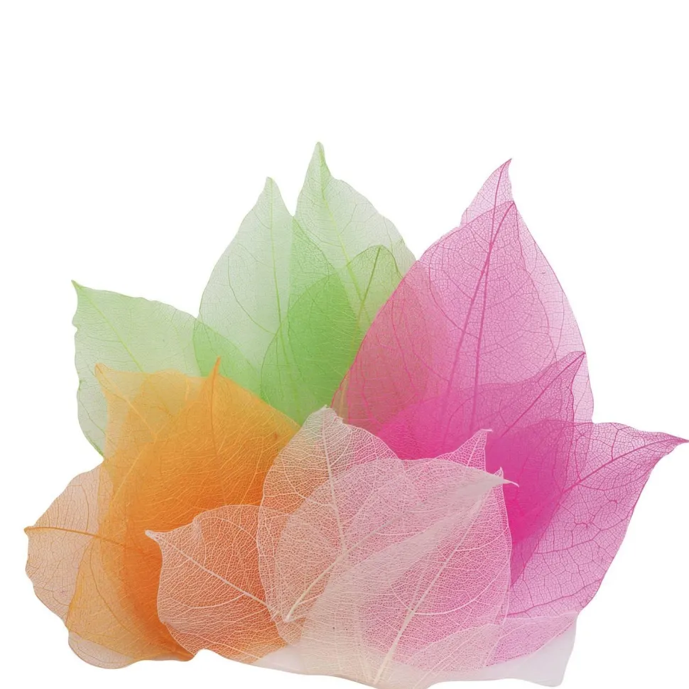 Véritables feuilles de magnolia 300 pièces - Eduplay
